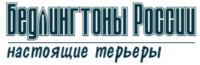 Бедлингтон терьеры РОССИИ